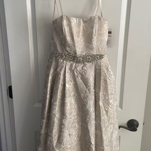 NWT size 2 cachet high-low dress